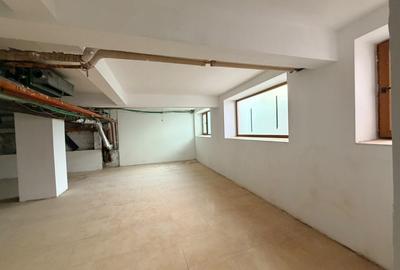 Demisol in Plevnei - Piata Kogalniceanu; pretabil productie/depozitare/atelier - 11