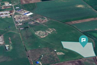 Teren intravilan de 26,606mp Sacalaz - 1