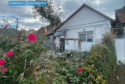 Casa cu garaj in Calnic, 231 mp construiti - 1