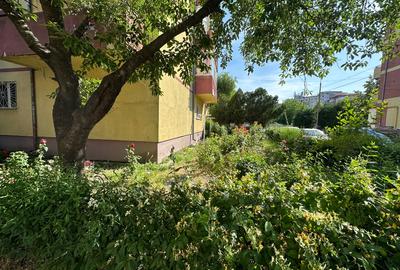 Apartament 3 camere,strada Petre-Liciu - 8