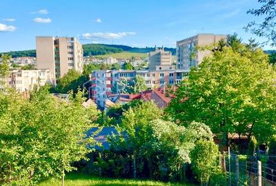 Casa renovata complet | Zona Platou | Ideala locuinta sau investitie - 10