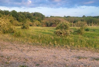 Teren intravilan de 825 mp, în Gepiu