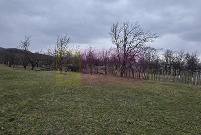 Teren 734 mp intravilan de vanzare in Brebu - 5