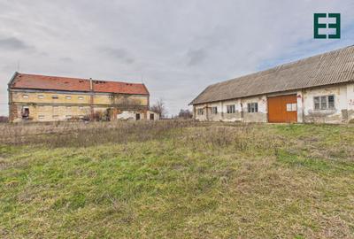 Proprietate industrială + Teren 8.632 - Voiteg - Județul Timiș - 24