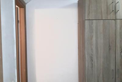 Colentina Rau, Mc Donalds, Mr. Bacila, Parc Plumbuita, stradal - 8
