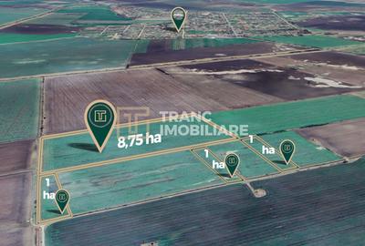 Teren agricol de 11,75 ha de vânzare, la 1,5 km de Turnu, jud. Arad - 1
