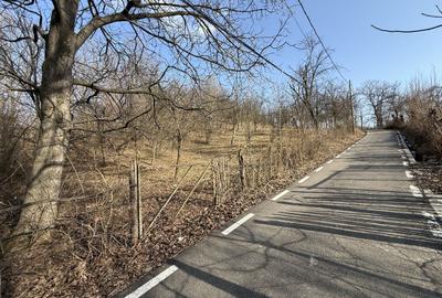 Teren intravilan 2788 mp deschidere 55 ml cu vedere panoramica ! - 11