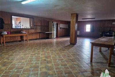 Vila unica de vanzare cu destinatie de locuinta si spatii comerciale, Medgidia, - 12