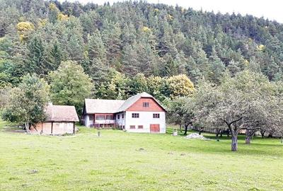 Teren superb de 16240mp, parcelabil, in Bran la intrare in Moeciu de Jos - 14