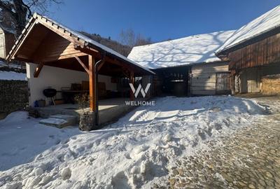 Casa de vacanta, sat Fantanele, Sibiu - 10