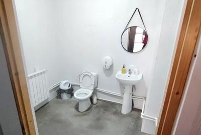 Hala de închiriat | Jilava | 390mp | Acces Tir - 9