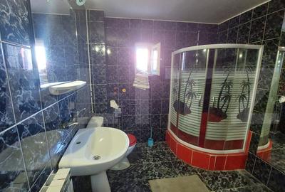 Imobil cu spatiu comercial si 4 apartamente, pe 417 mp teren, Gheorghieni - 17