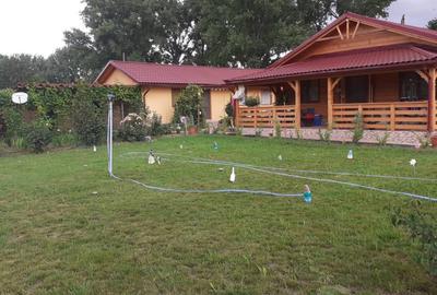 HORIA - 3 CAMERE ,SUPRAFATA 100 MP,TEREN 3000 MP CU DESCHIDERE LA LAC - 2