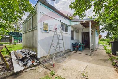 Casă 65 mp + teren 4000 mp, livadă, Butimanu - 2