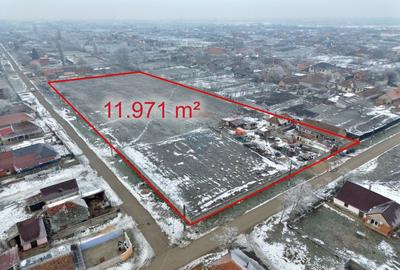 Teren intravilan de vânzare 11.971 mp, Șimand, jud. Arad - 1