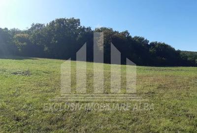 Teren intravilan | De vanzare | 791mp | 16ml deschidere | Alba-Micesti - 3