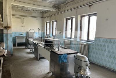 Pensiune sau Sediu de Birouri | 35 Ari | Iacobesti - 17