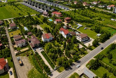 Oportunitate Rară în Ciorogârla– 8.000 mp Teren | Dublu Acces Asfaltat - 3