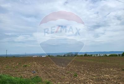 Teren in Magura/Bacau de vanzare - 1