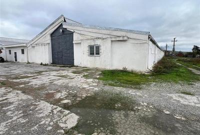 Hale de inchiriat localitatea M. Kogalniceanu Tulcea - 1