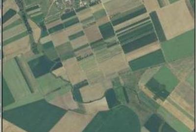 RECO Teren extravilan, zona Industriala in Livada de Bihor - 2