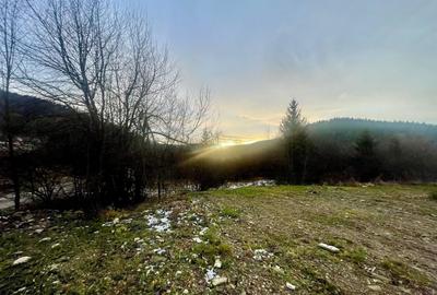 TEREN INTRAVILAN 2,26 HA | SUCEVITA | - 6