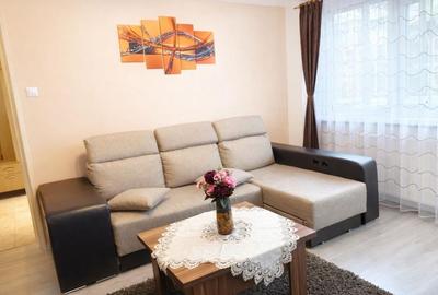 🏡 Apartament 2 camere ETAJ 1,  Zona Garii - 8