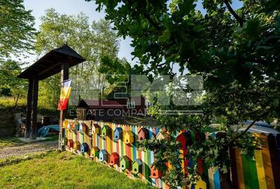 Case cu 24 ari de teren | Partesti de jos, Suceava | Pret: 42.500€ - 2