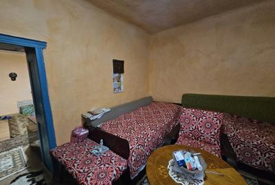 Casă individuală, cu 3 camere, în localitatea Ivanda, la 30 km de Timișoara - 8