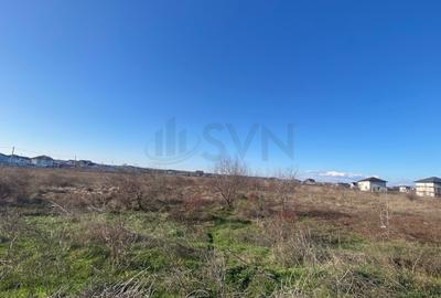 REL4001238 Dragomiresti Vale - 6500 mp -  ideal dezvoltare rezidentiala - 3