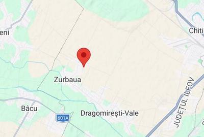 Teren Intravilan Zurbaua Dragomiresti 500mp - 1