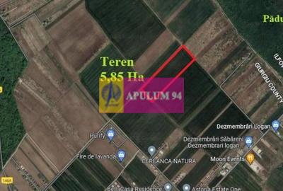 Săbăreni, teren 5,85 ha, intravilan rezidențial, între 2 păduri - 1