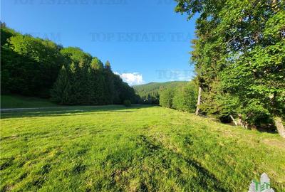 Teren Intravilan 12000 mp, Cascada Urlatoarea, proiect aprobat pentru Resort, la - 15