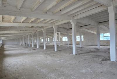 Spațiu industrial, în Exterior Nord