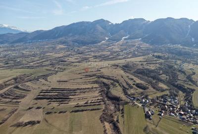 Teren intravilan Bran - Predelut - 40