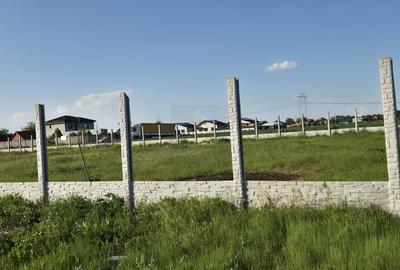 Teren Intravilan 497mp de Vanzare Padurisu *Calarasi* - 3
