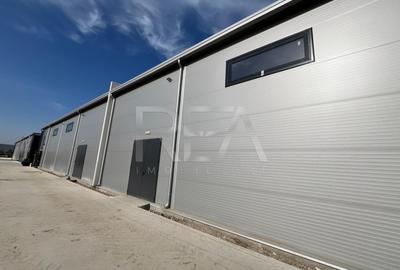 Hale depozitare/productie deschidere la Centura\Chitila - 12