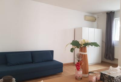 Vanzare garsoniera la curte, Stefan cel Mare Tunari, parter inalt, 65000 euro - 1