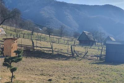 Vindem urgent 1035mp teren intravilan in Rau Sadului ,  SIBIU - 15