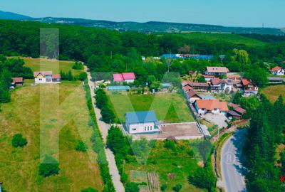 Teren intravilan 2000 mp - Tocile, vedere panoramică spre munte și pădure - 7