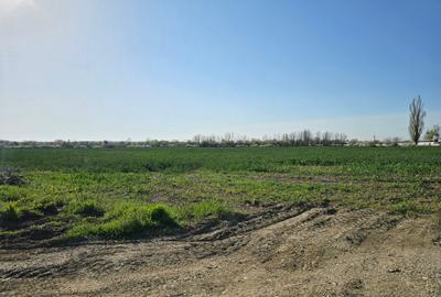 10.100mp TEREN CONSTRUCȚII INTRAVILAN POTIGRAFU, DESCHIDERE 31m direct la DN1 - 11