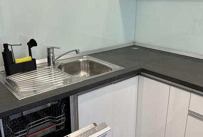 Apartament 2 camere Dorobanti / Bloc 2009 - 8