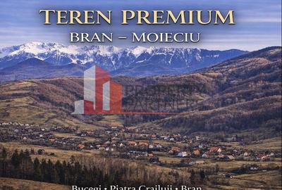 Teren Bran | 3.520 mp | Vedere Bucegi & Castelul Bran - 1
