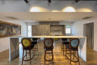 Penthouse de vanzare 3 camere zona Victoriei - Lascar Catargiu, Bucuresti - 2