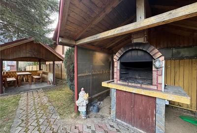 Refugiu de vis in Busteni – casa cocheta cu teren generos si priveliste spectacu - 23