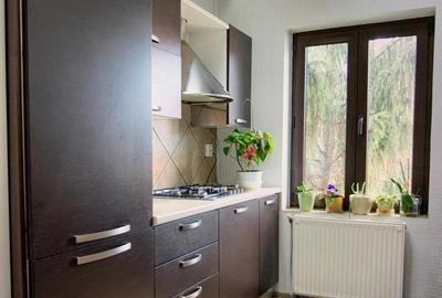 Vila D+P+E+M Floreasca, amplasata exclusiv in zona de vile, teren 400 mp - 6