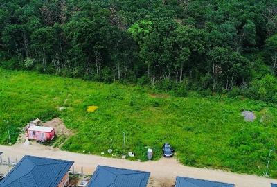 Casa Pantelimon Padure/Complex Forest Residence/5 camere/P+1/An 2025 - 14