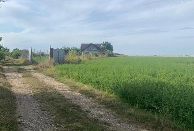 DJ200 Dascalu  Vanzare Teren intravilan mixt-rezidential - 3