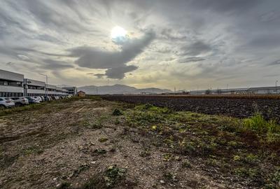 Teren industrial, intravilan, cu utilitati, Stupini, 11.600 mp - 9