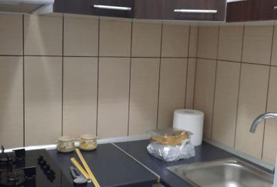 Apartament 2 camere tip studio Brazda regia de tutun - 4